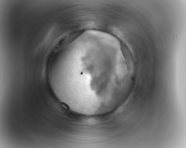 X0000088490249200706051423