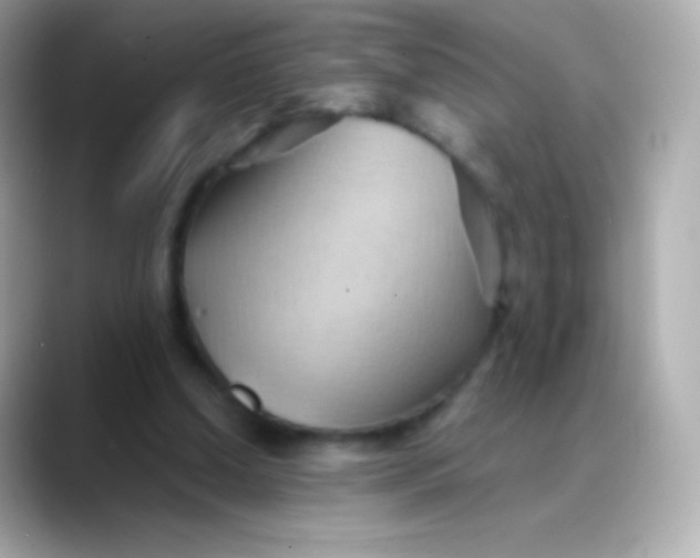 X0000088490250200706051423