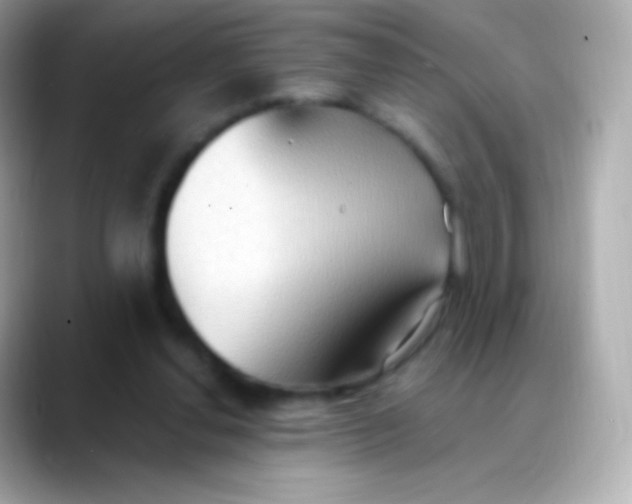 X0000088490252200706051423