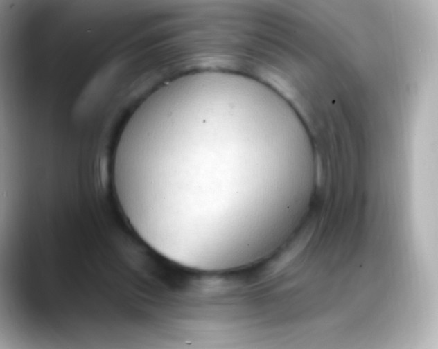 X0000088490253200706051423