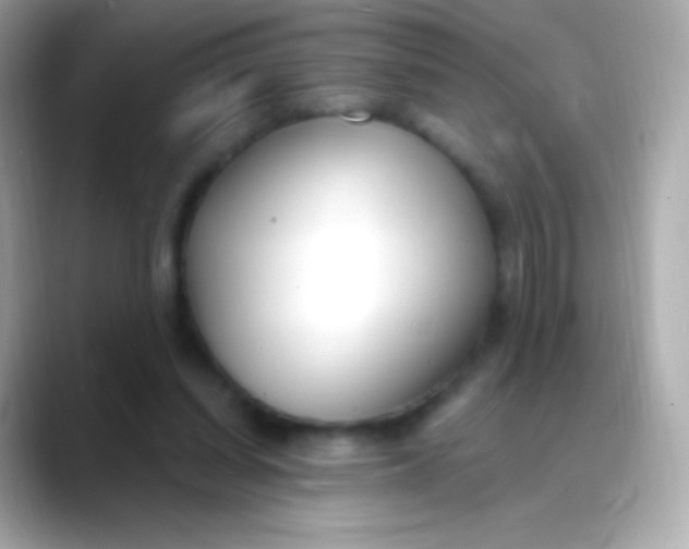 X0000088490254200706051423