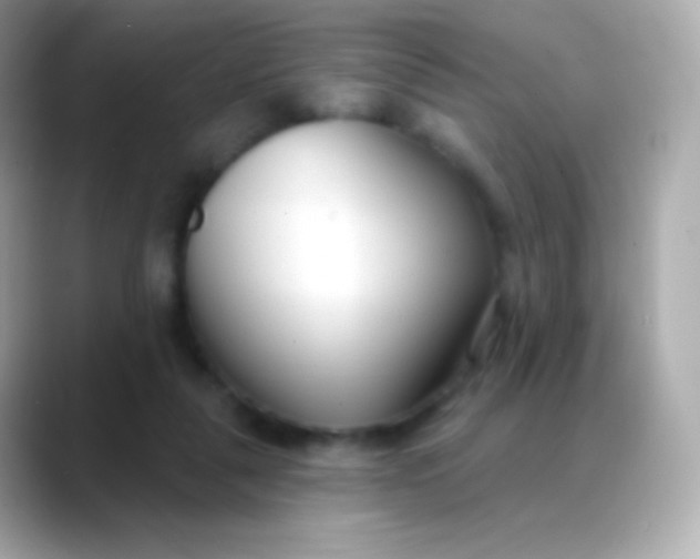 X0000088490259200706051423