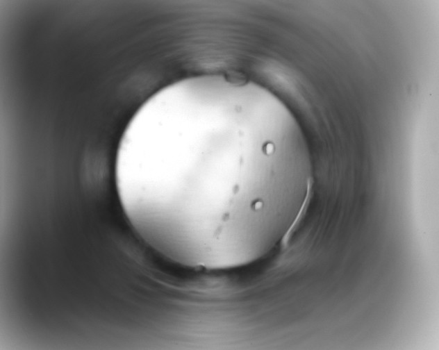 X0000088490260200706051423