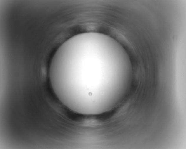 X0000088490262200706051423