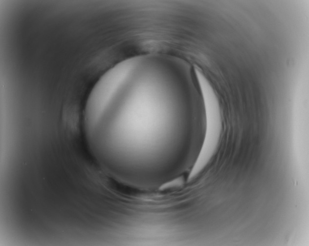 X0000088490266200706051423