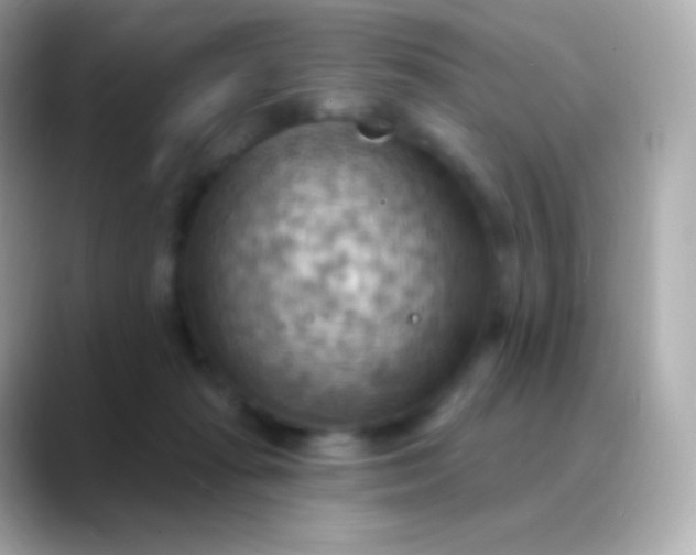 X0000088490269200706051423