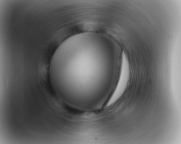 X0000088490271200706051423