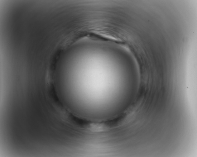 X0000088490272200706051423