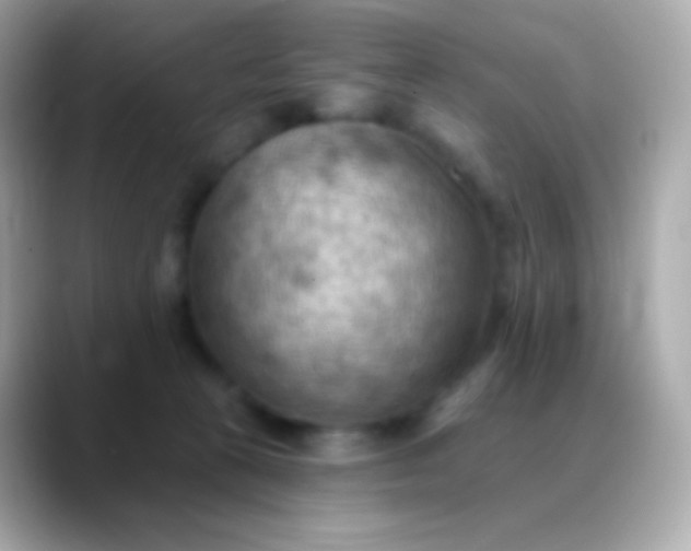 X0000088490273200706051423