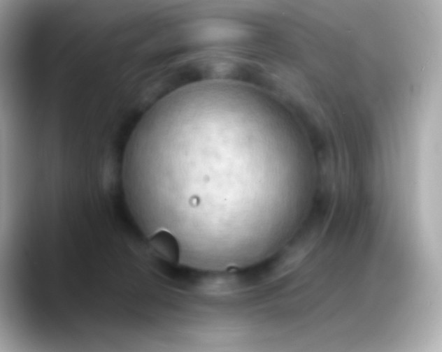 X0000088490274200706051423