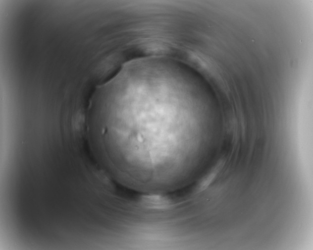 X0000088490281200706051424