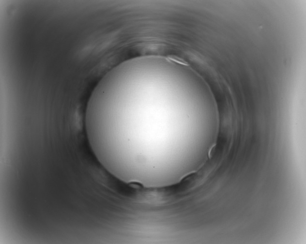 X0000088490282200706051424