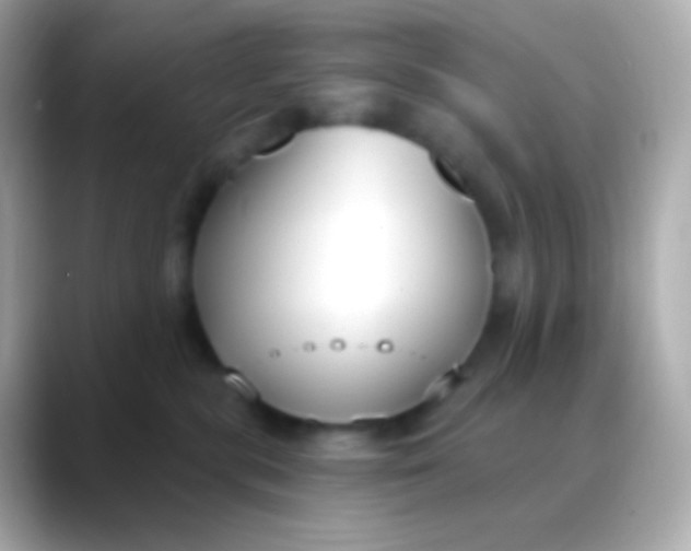 X0000088490283200706051424