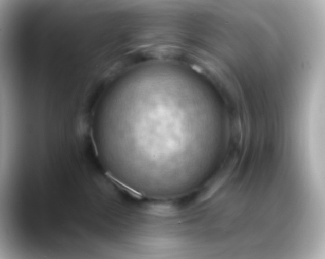 X0000088490284200706051424