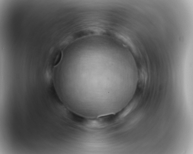 X0000088490285200706051424