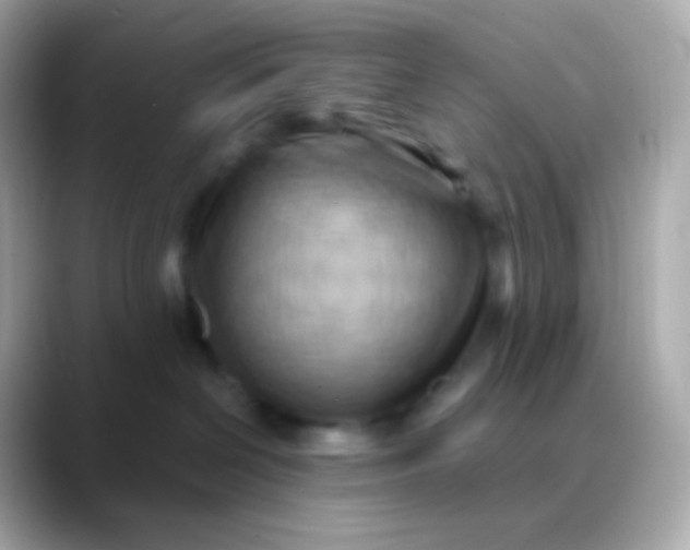 X0000088490286200706051424