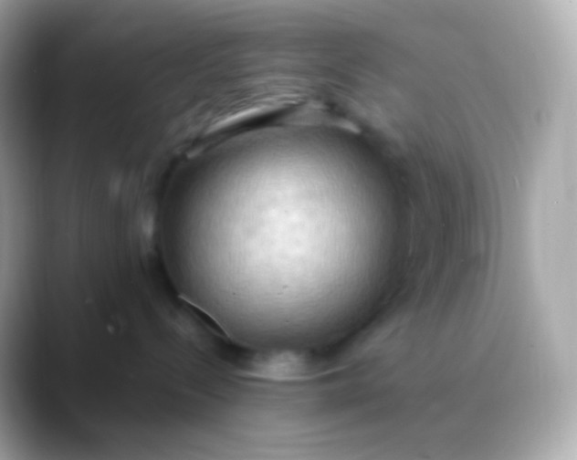 X0000088490288200706051424