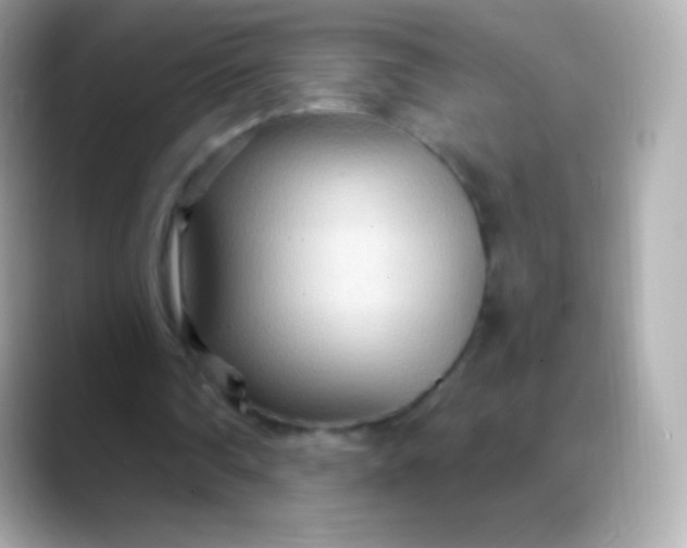 X0000088490290200706051423