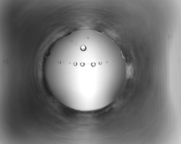 X0000088490291200706051423