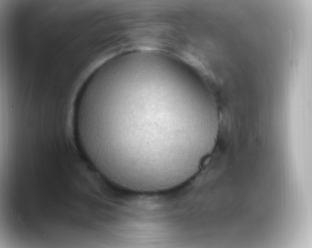 X0000088490292200706051423