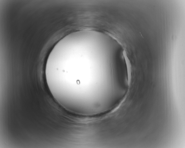 X0000088490293200706051423