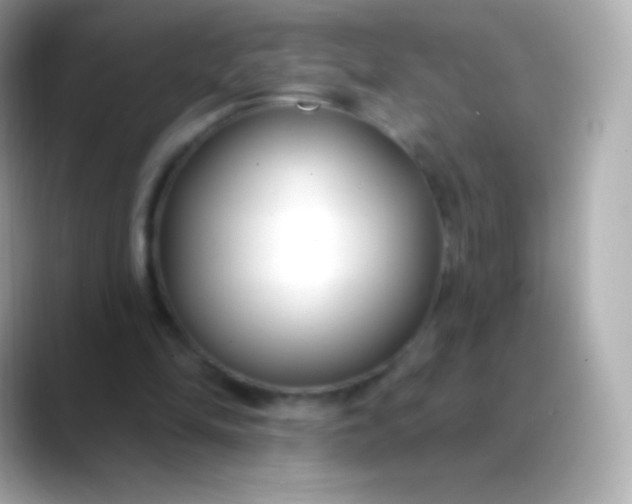 X0000088490294200706051423