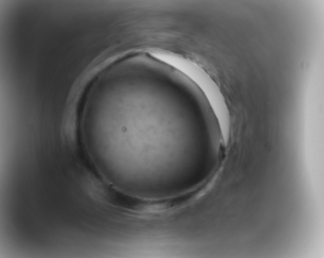 X0000088490295200706051423