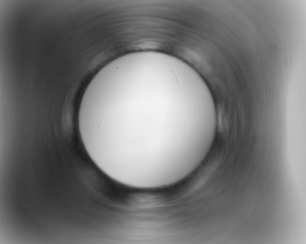 X0000088490300200706051423