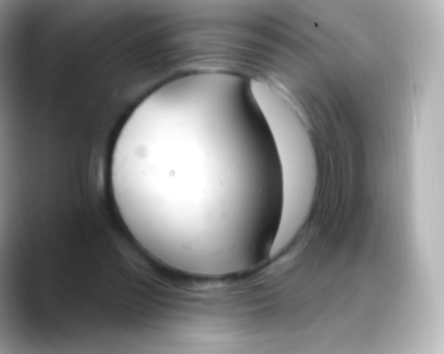 X0000088490301200706051423