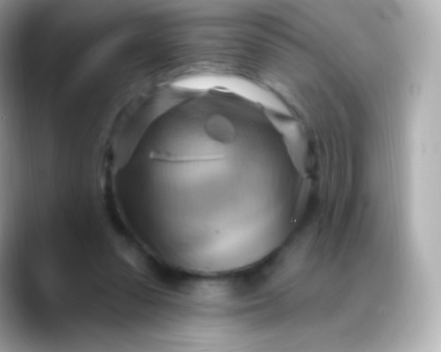 X0000088490303200706051423