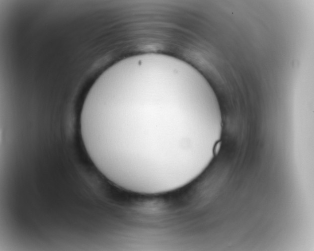 X0000088490304200706051423