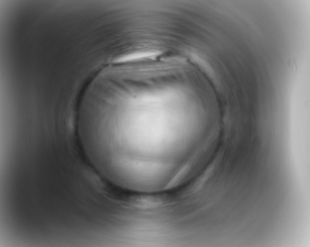 X0000088490305200706051423