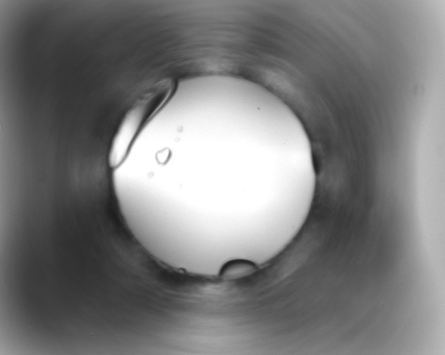 X0000088490306200706051423