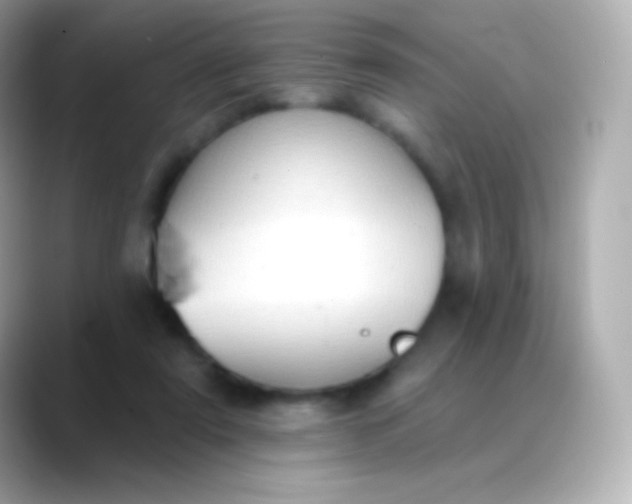 X0000088490307200706051423