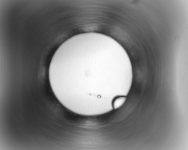 X0000088490308200706051423