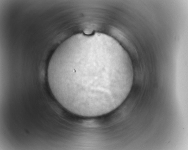 X0000088490309200706051423