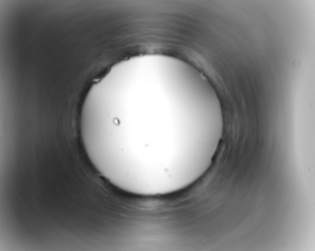 X0000088490313200706051423