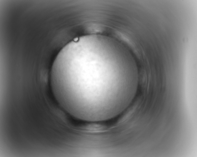 X0000088490315200706051423