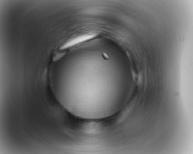 X0000088490319200706051423