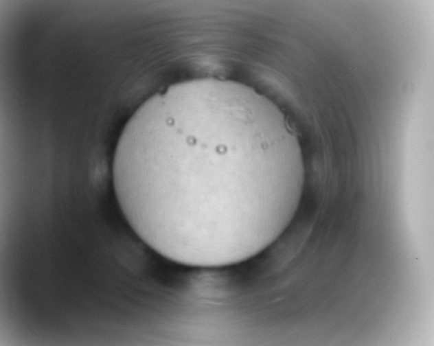 X0000088490320200706051423