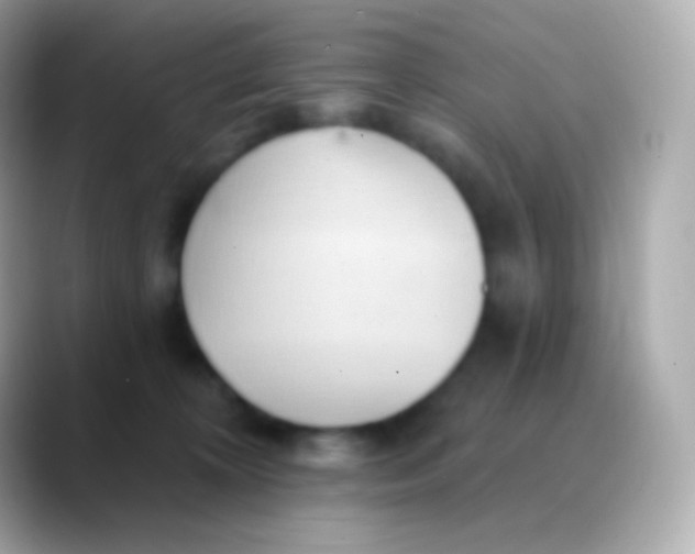 X0000088490324200706051423