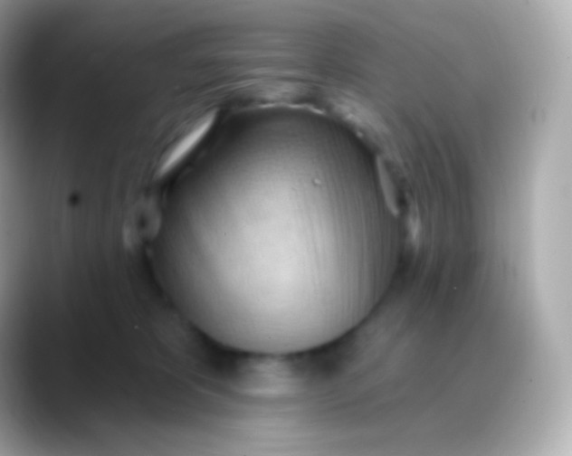 X0000088490325200706051423