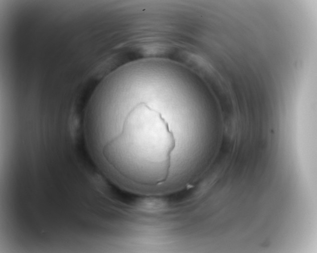 X0000088490327200706051423