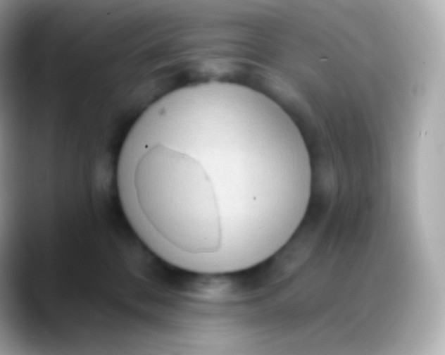 X0000088490328200706051423