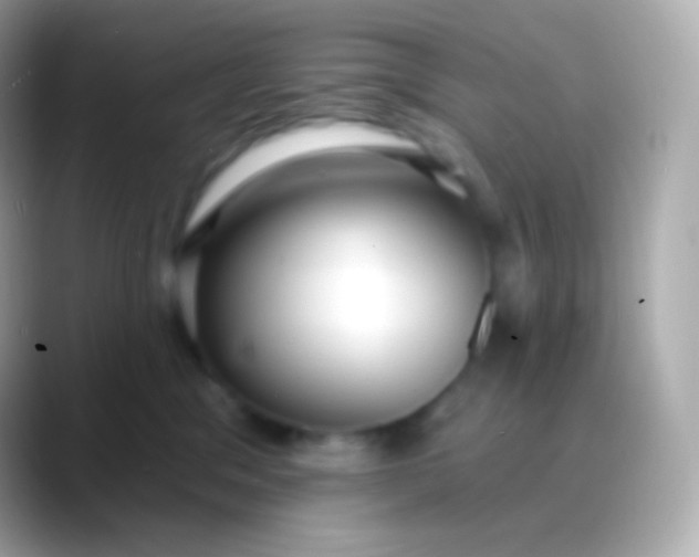 X0000088490329200706051423