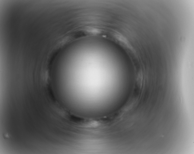 X0000088490330200706051423