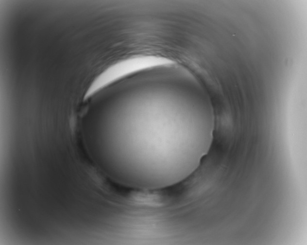 X0000088490331200706051423