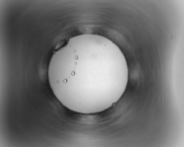 X0000088490332200706051423