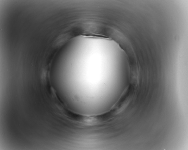 X0000088490333200706051423