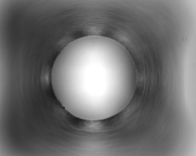 X0000088490334200706051423